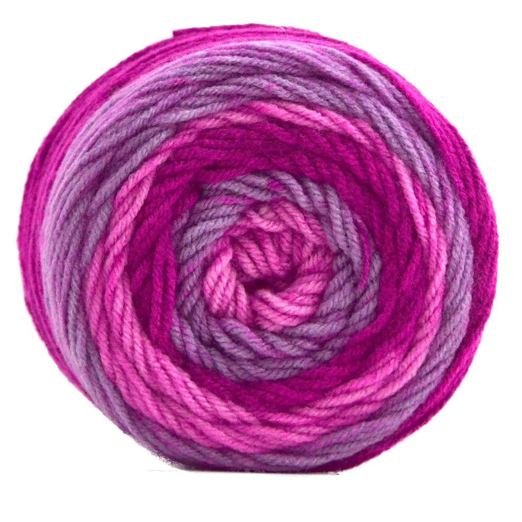 Premier Sweet Roll Yarn in Raspberry Swirl